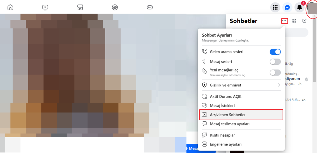 Silinen Mesajlar 